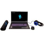 MEDION Erazer Defender P15 17.3" Gaming Laptop - Ryzen 7  RTX 3060  512 GB SSD