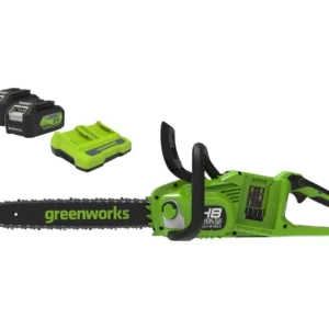 GREENWORKS GD24X2CS36 Cordless Chainsaw with 2 Batteries - Green & Black