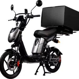 ESKUTA SX-250 Series 4 Cargo Electric Bike - Grey
