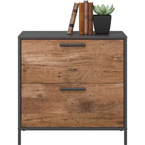 TEKNIK Boulevard Café 2 Drawer Filing Cabinet - Black & Oak